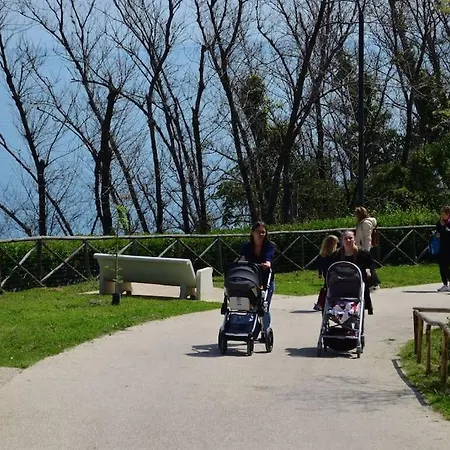 Belvedere Di *