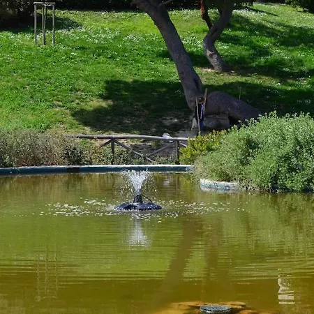 Apartment Belvedere Di *