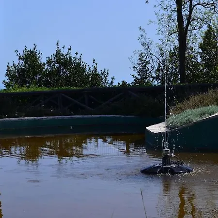 Lejlighed Belvedere Di