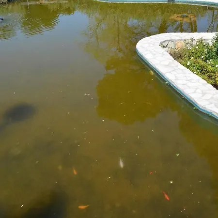 Lejlighed Belvedere Di *